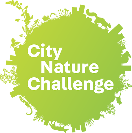 City Nature Challenge - Pima County AZ (logo)