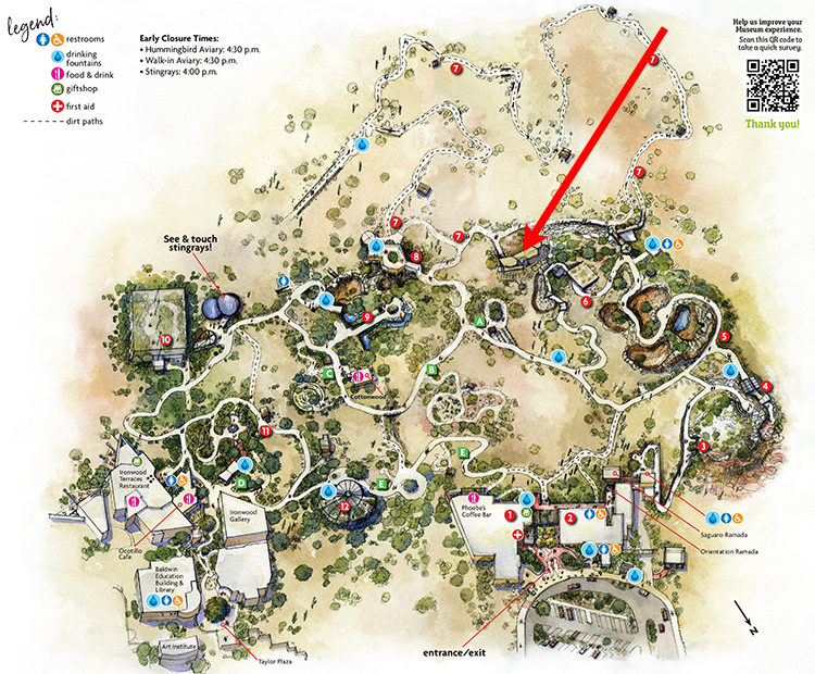 Museum map showing location of Black-tailed and Antelope Jackrabbit