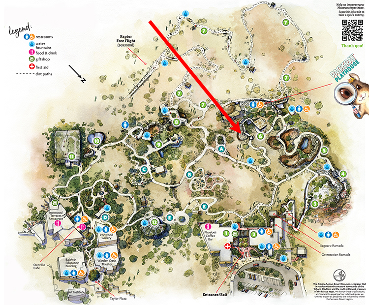 Museum map showing location of Black-tailed Prairie Dog