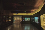 Thumbnail of Reptiles & invertebrates Room - 2016