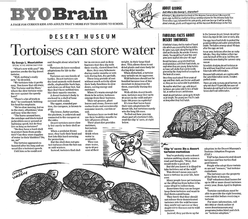 Tortoises article