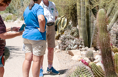 Guests talk to a docent and record species on their cellphone at Biodiversity Party in 2025