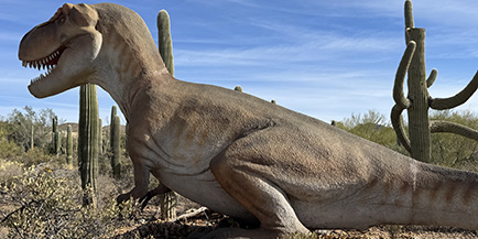 Photo of a Tyrannosaurus rex replica