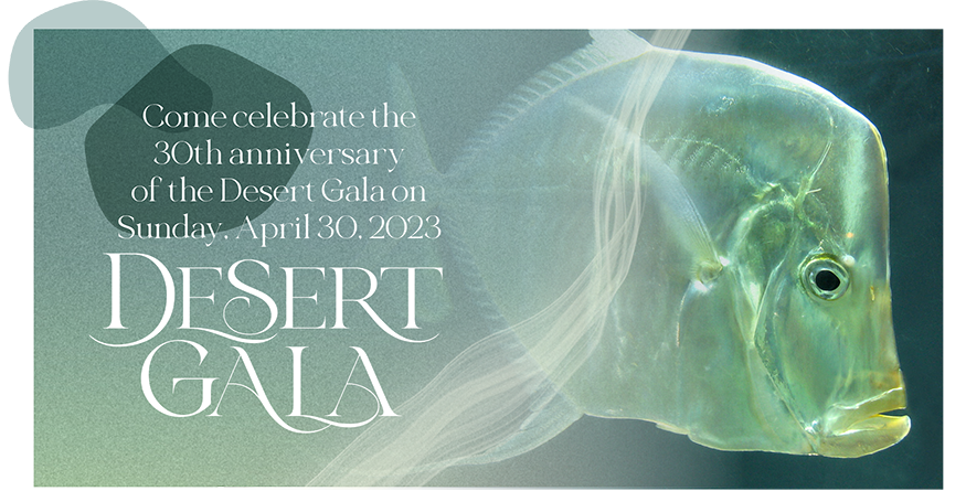 2023 Virtual Desert Gala - Sunday, April 30, 2023