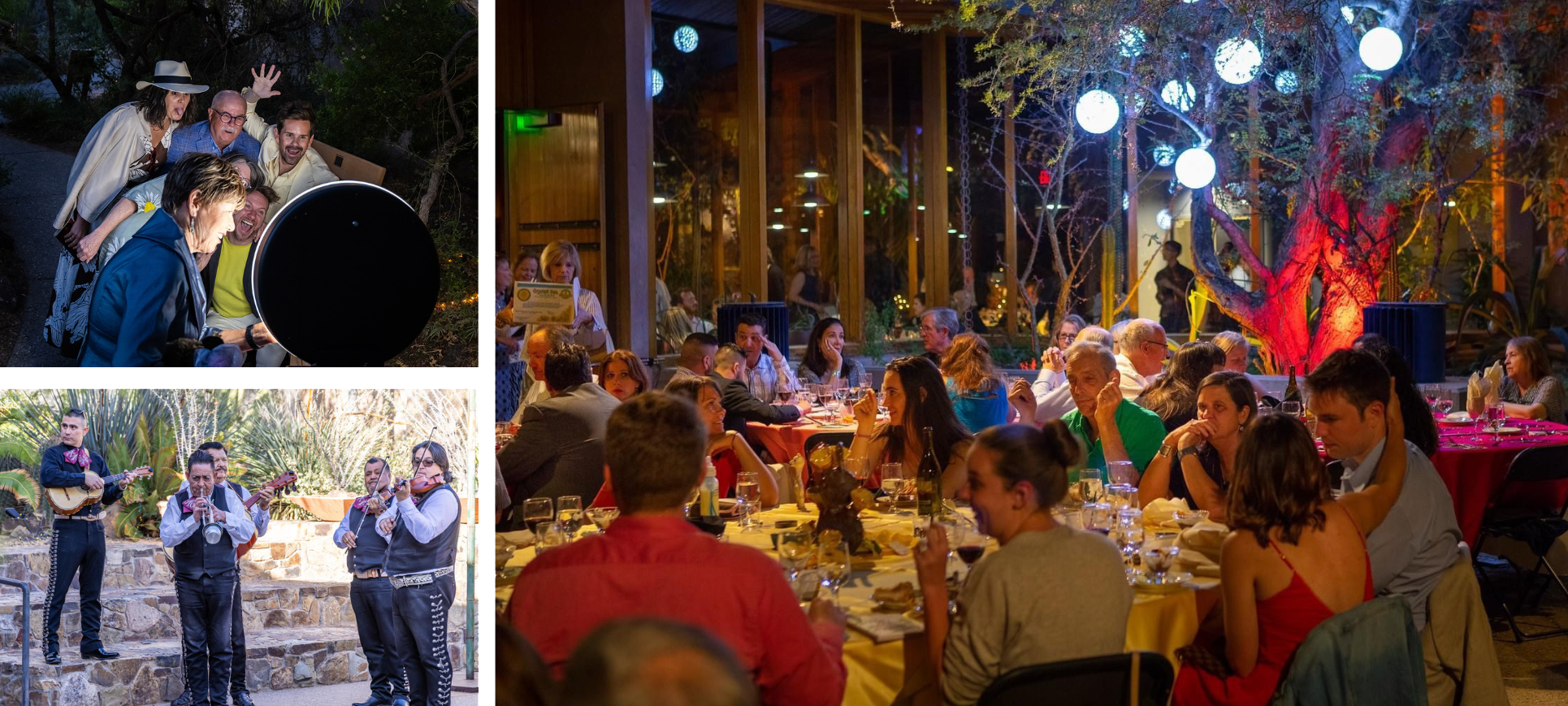 A selection of photos from the 2025 event - the live auction, the dinner, and the silent auction