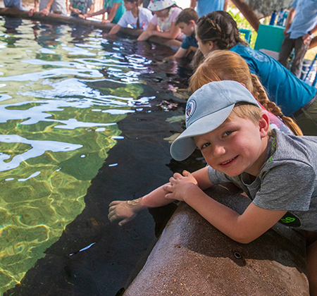 Campers experience Stingray Touch